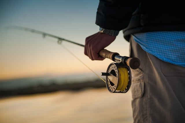 The Humane Method to Kill a Fish Before Filleting
